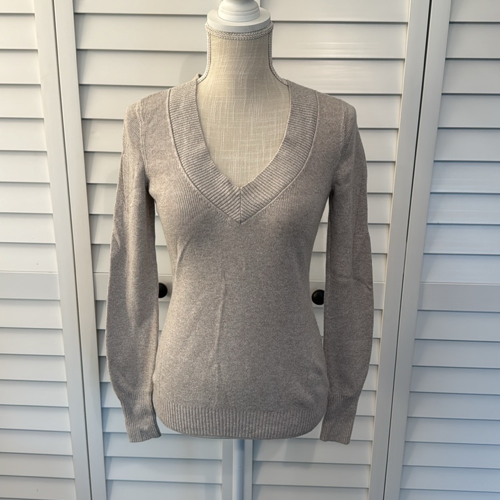 Express V neck sweater